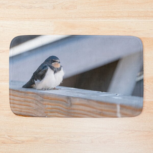 Item preview, Barn Swallow Fledgling designed and sold by ansaharju.