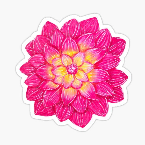Pink dahlia flower Sticker