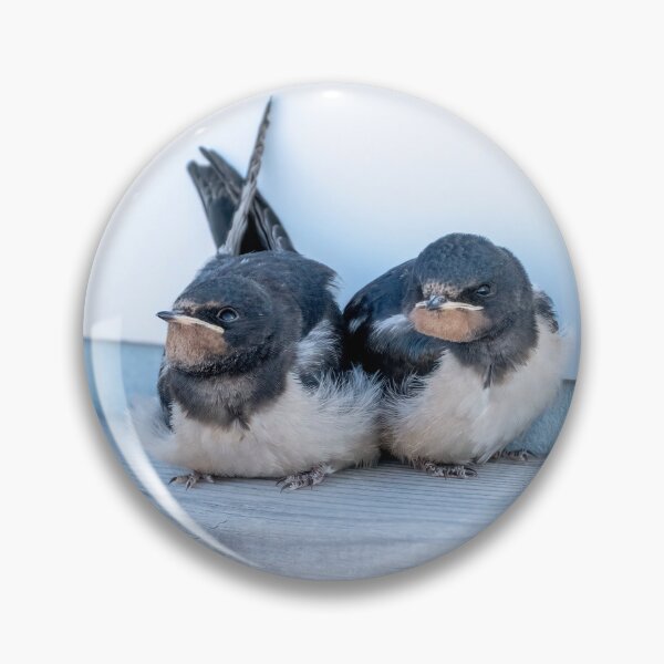 Item preview, Barn Swallow Fledglings designed and sold by ansaharju.