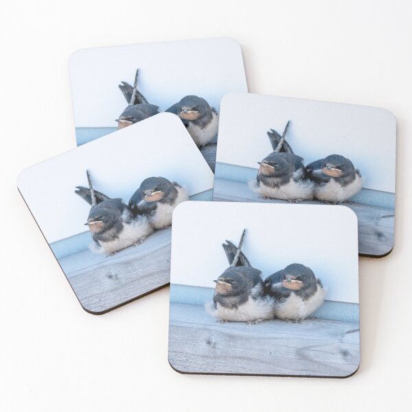 Item preview, Barn Swallow Fledglings designed and sold by ansaharju.