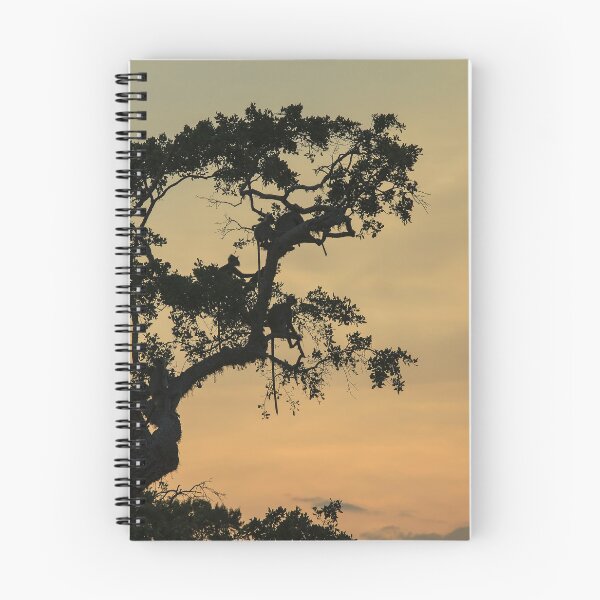 Item preview, Sihouettes of monkeys sitting in a tree designed and sold by Photopat.