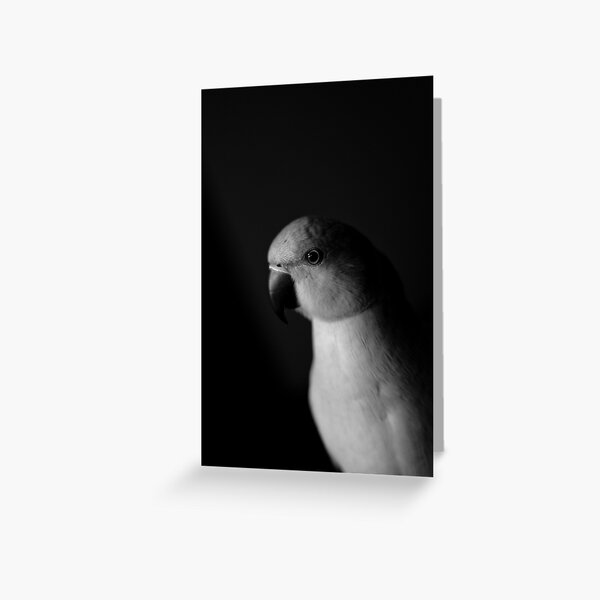 Lifting Shadows Greeting Card