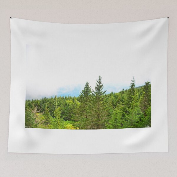 Item preview, Mount Mitchell North Carolina Not The View I Was Hoping For designed and sold by LisaWootenPhoto.