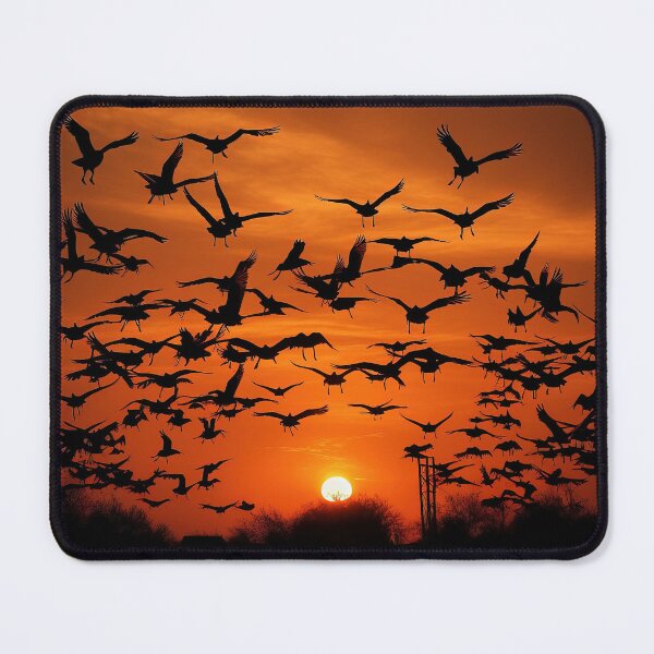 Item preview, Birds at sunset in forest - Wildlife photo designed and sold by TheArtistOf2022.
