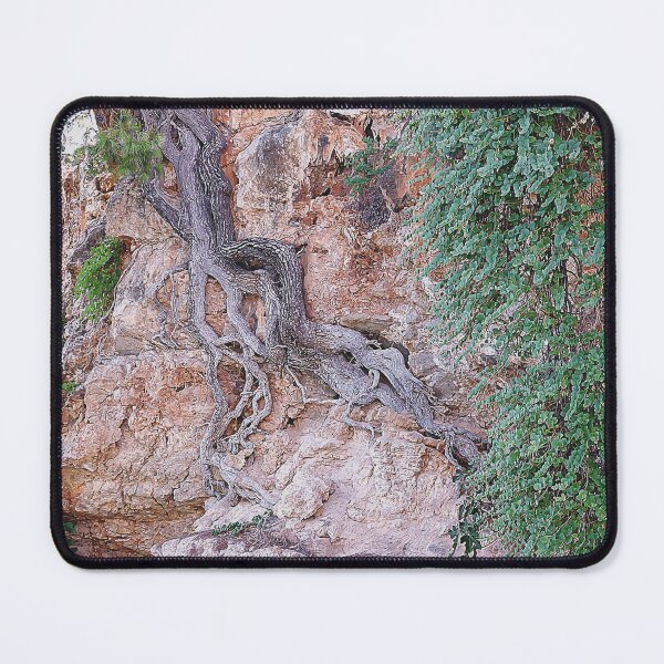 Item preview, Tree on cliff face, Alonissos, pen drawing effect designed and sold by paulboizot.