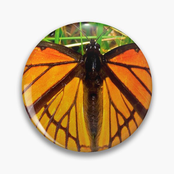 Item preview, Viceroy Butterfly designed and sold by bjtomiko.