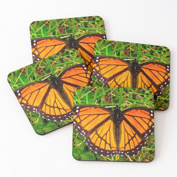 Item preview, Viceroy Butterfly designed and sold by bjtomiko.