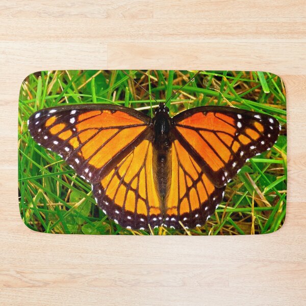 Item preview, Viceroy Butterfly designed and sold by bjtomiko.