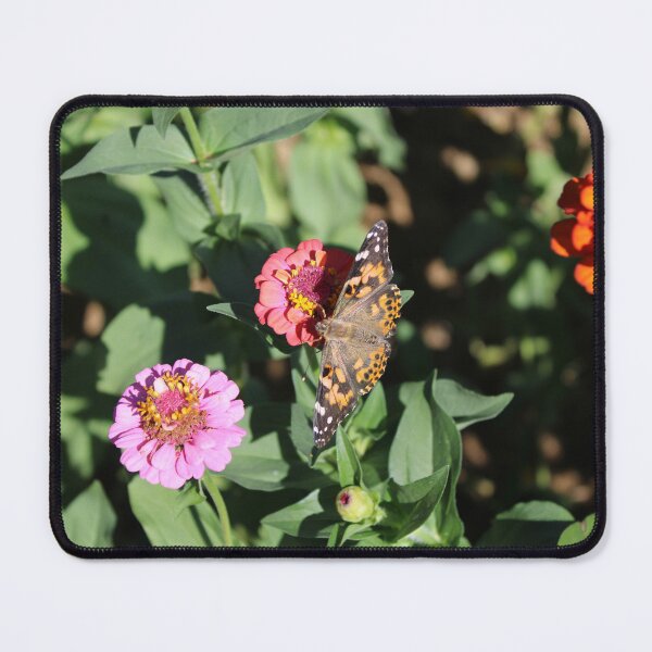 Item preview, Painted lady butterfly 4 designed and sold by McFleur's Lens.