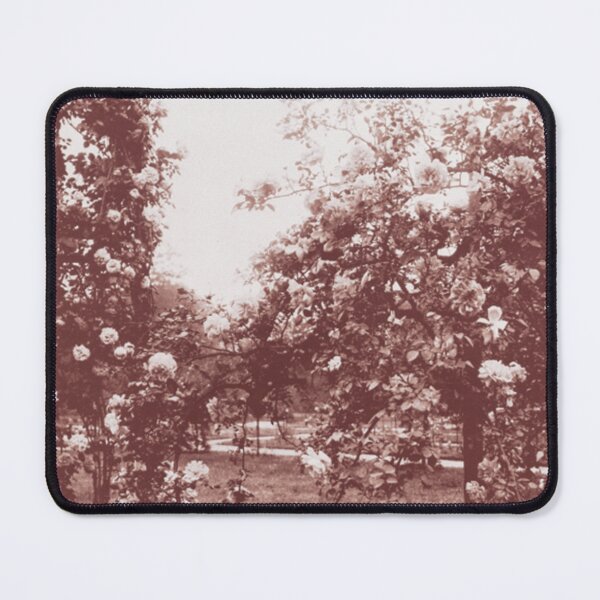Item preview, Galaxie 500 designed and sold by NathanHag221.