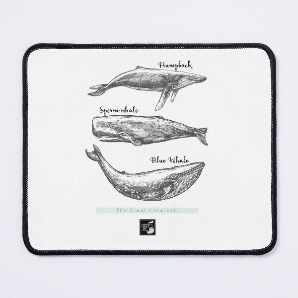 Item preview, The Great Cetaceans designed and sold by OVelhoLobodoMar.