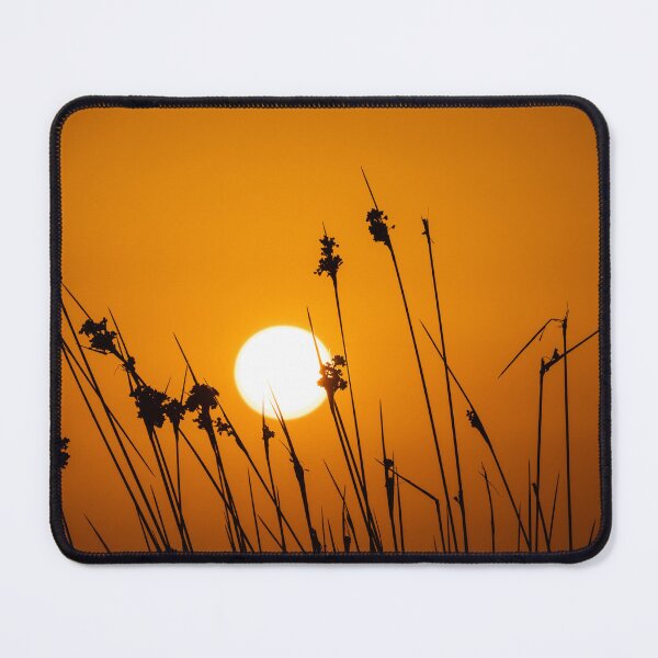 Item preview, Sharp Rush Sunset Silhouette designed and sold by twymanphoto.