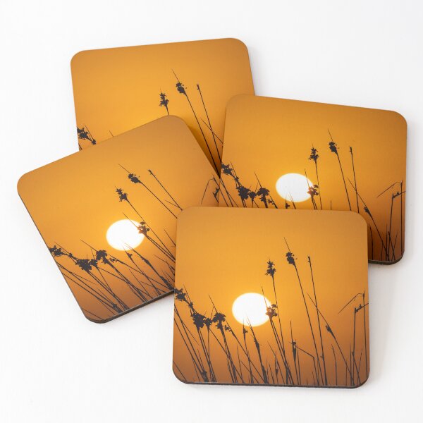 Item preview, Sharp Rush Sunset Silhouette designed and sold by twymanphoto.