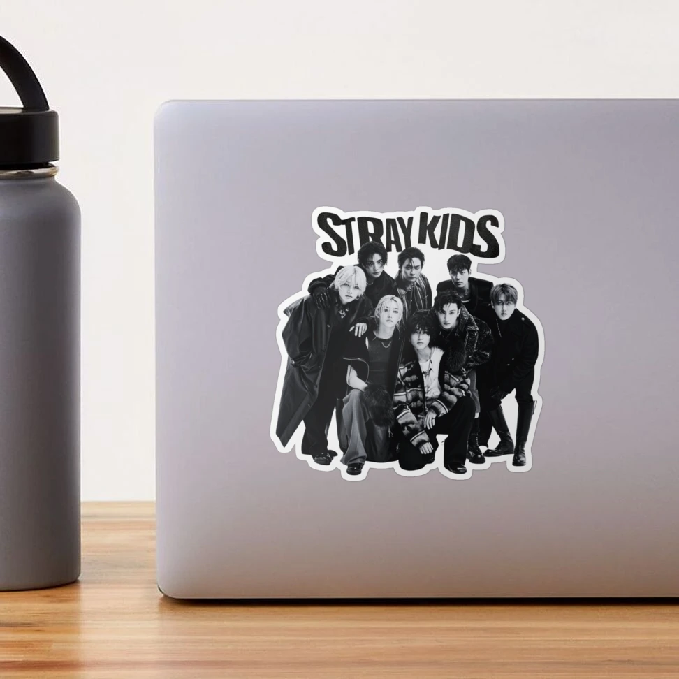 GHPKOTW StrayKids Stickers, 104 stuks, waterdichte vinyl Kpop stickerset, Stray Kids Meme stickers, mini-fotostickers, cadeau voor STAY, laptop, helm, fiets