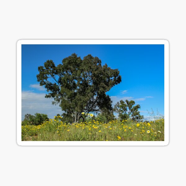 Item preview, Tree Over a Blooming Meadow at Madrona Marsh designed and sold by Scenic West - Photos by Angel.