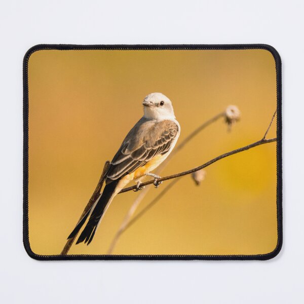 Item preview, Roadside Scissor Tailed Flycatcher designed and sold by Debra Martz.
