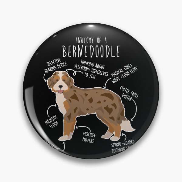 Item preview, Chocolate Merle Bernedoodle Dog Anatomy designed and sold by Clara Hollins.