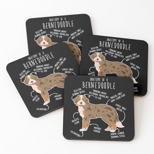Item preview, Chocolate Merle Bernedoodle Dog Anatomy designed and sold by Clara Hollins.