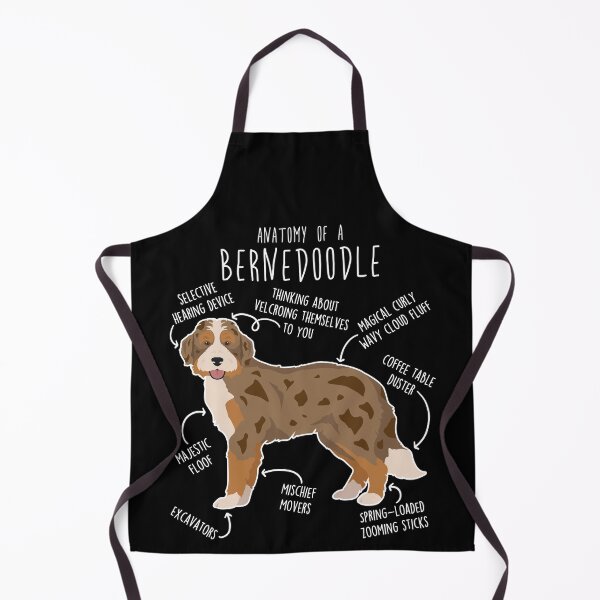 Aperçu de l'œuvre Anatomie du chien Bernedoodle Chocolat Merle créée et vendue par Clara Hollins.