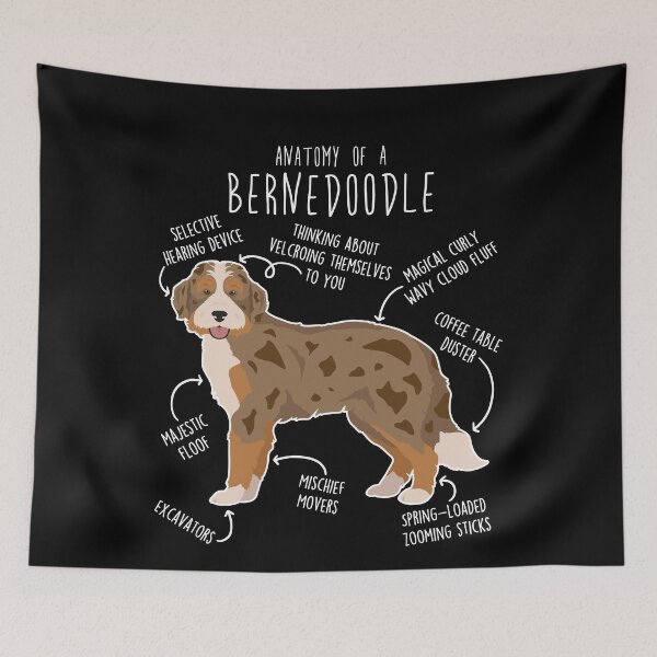 Item preview, Chocolate Merle Bernedoodle Dog Anatomy designed and sold by Clara Hollins.