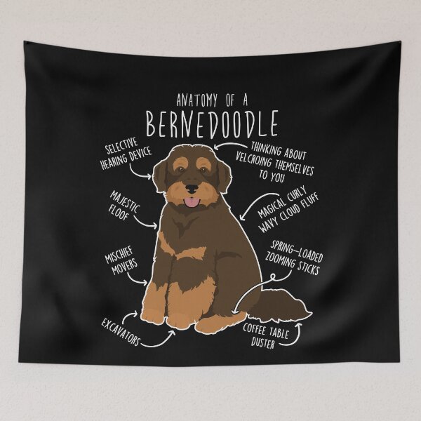 Item preview, Chocolate Phantom Bernedoodle Dog Anatomy designed and sold by Clara Hollins.