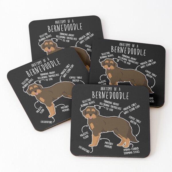 Item preview, Chocolate Phantom Bernedoodle Dog Anatomy designed and sold by Clara Hollins.