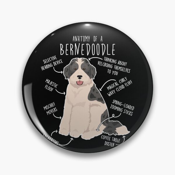Item preview, Bernedoodle Parti Black Merle Dog Anatomy designed and sold by Clara Hollins.