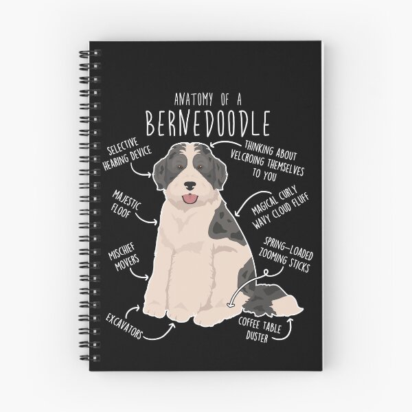 Item preview, Bernedoodle Parti Black Merle Dog Anatomy designed and sold by Clara Hollins.