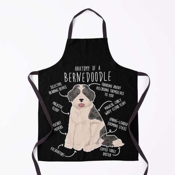 Item preview, Bernedoodle Parti Black Merle Dog Anatomy designed and sold by Clara Hollins.