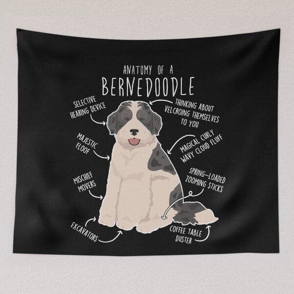 Item preview, Bernedoodle Parti Black Merle Dog Anatomy designed and sold by Clara Hollins.
