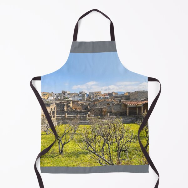 Item preview, Italy. Herculaneum. Ruins. designed and sold by vadim19.