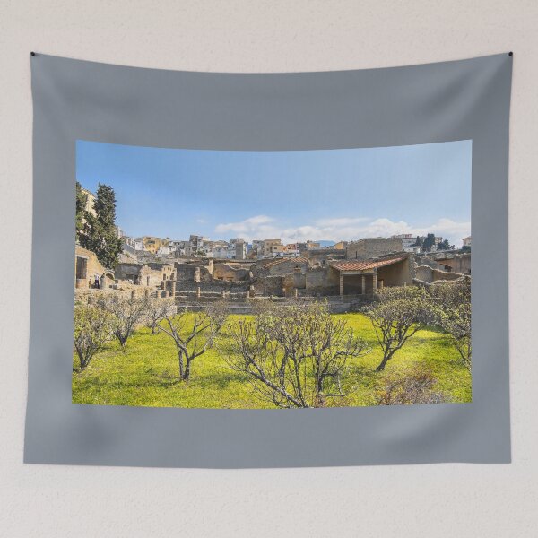 Item preview, Italy. Herculaneum. Ruins. designed and sold by vadim19.