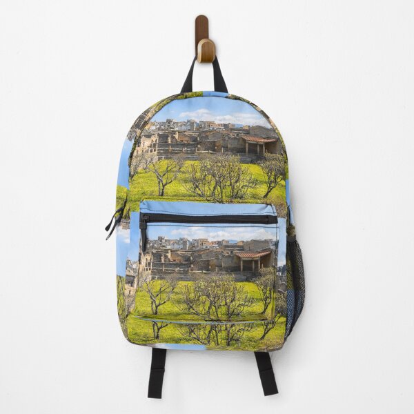 Item preview, Italy. Herculaneum. Ruins. designed and sold by vadim19.