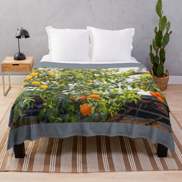 Item preview, Italy. Sorrento. Citrus Trees with Fruits. designed and sold by vadim19.