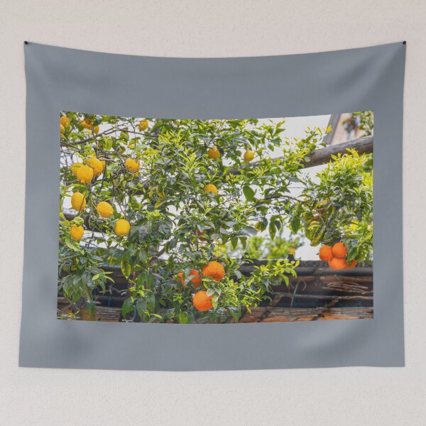 Item preview, Italy. Sorrento. Citrus Trees with Fruits. designed and sold by vadim19.