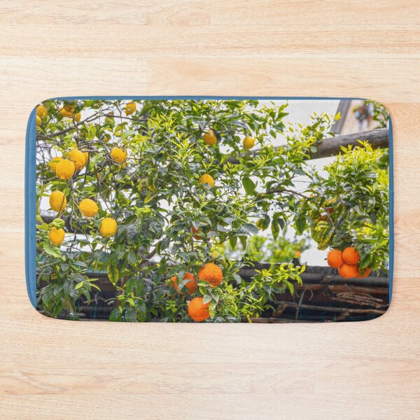 Item preview, Italy. Sorrento. Citrus Trees with Fruits. designed and sold by vadim19.