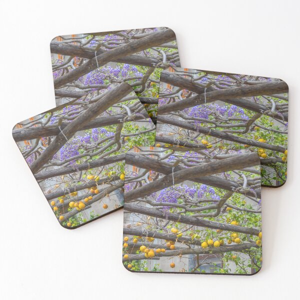 Item preview, Italy. Sorrento. Lemons and Wisteria. designed and sold by vadim19.
