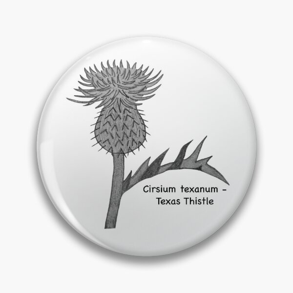 Item preview, Texas Thistle - Cirsium texanum designed and sold by scarpacific.