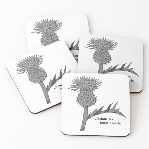 Item preview, Texas Thistle - Cirsium texanum designed and sold by scarpacific.