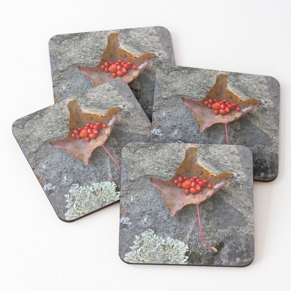 Item preview, Hold Us Berry Us Love Us designed and sold by Sophie Green.