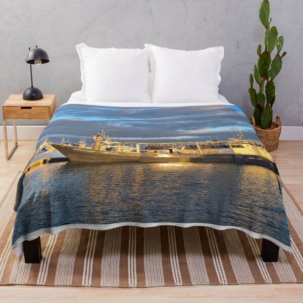 Item preview, Harvest Moon boat, marina, Robe, South Australia designed and sold by FranWest.