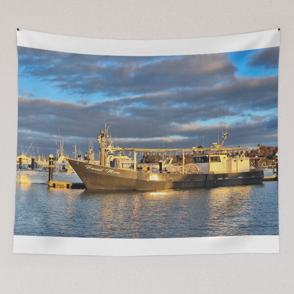 Item preview, Harvest Moon boat, marina, Robe, South Australia designed and sold by FranWest.