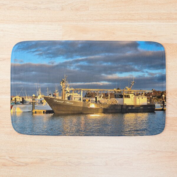 Item preview, Harvest Moon boat, marina, Robe, South Australia designed and sold by FranWest.