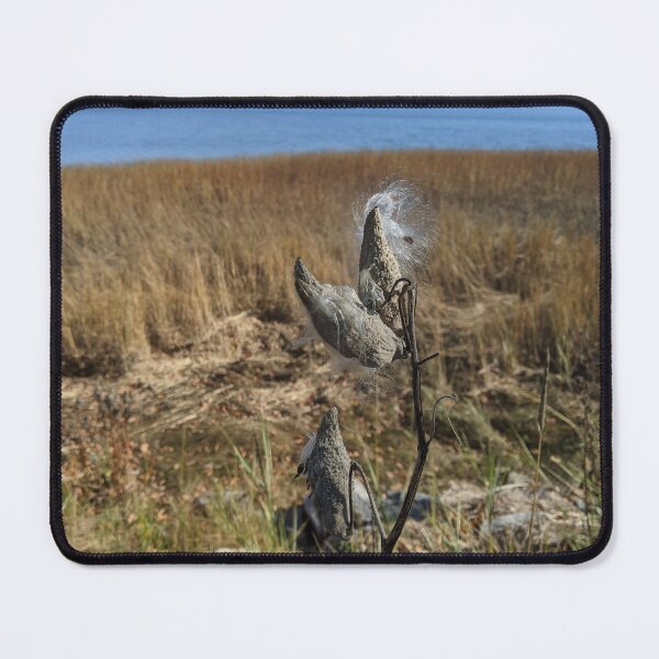 Item preview, fly round home designed and sold by Sophie Green.