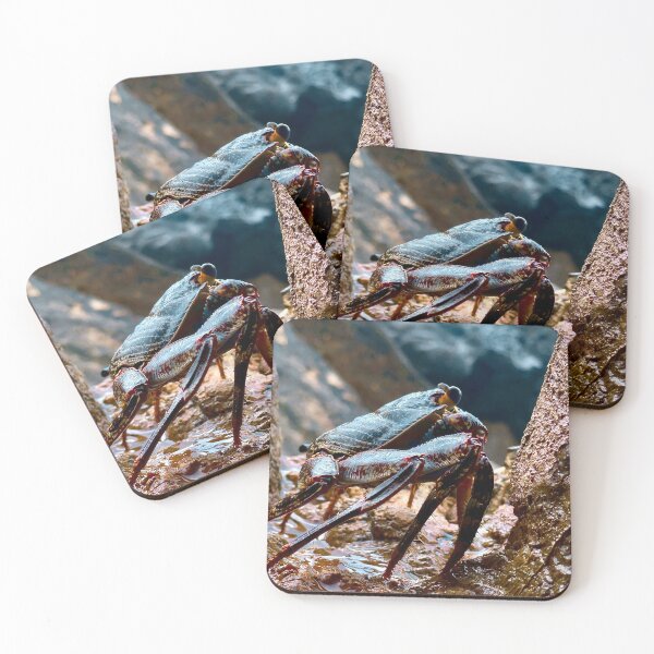 Item preview, Don't be Crabbie in Nature designed and sold by CandC-Artistry.