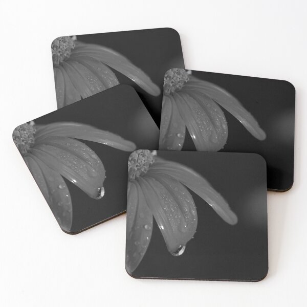 Item preview, Flower petal and dew in bnw designed and sold by Cblifeisgood.