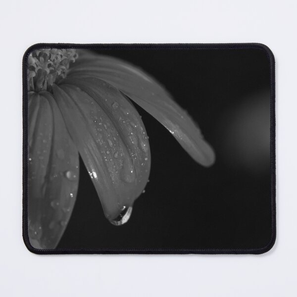 Item preview, Flower petal and dew in bnw designed and sold by Cblifeisgood.
