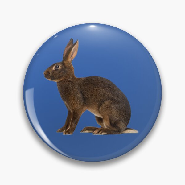 Item preview, Hare designed and sold by MorningFive.