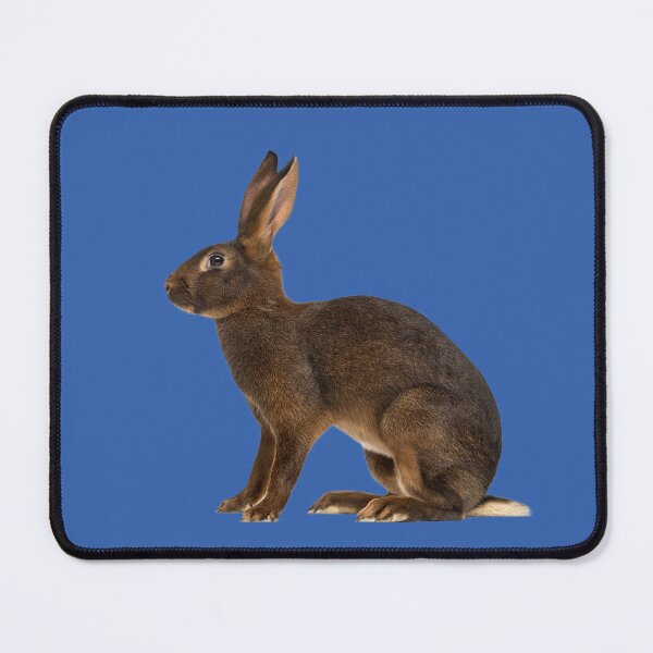 Item preview, Hare designed and sold by MorningFive.