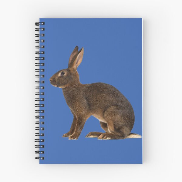 Item preview, Hare designed and sold by MorningFive.